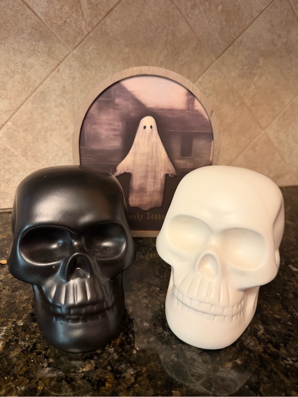 Decorative Black and White Skull Set - Home Accents